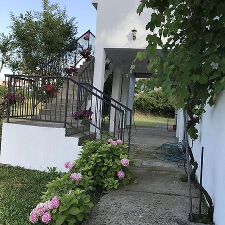 Apartmani Dragana Herceg Novi Exterior photo